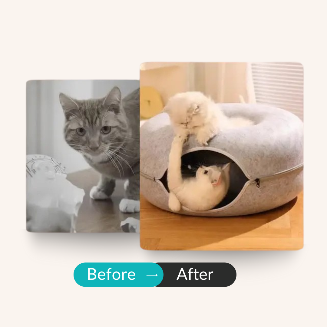 CatNap Donut Bed & Play Tunnel