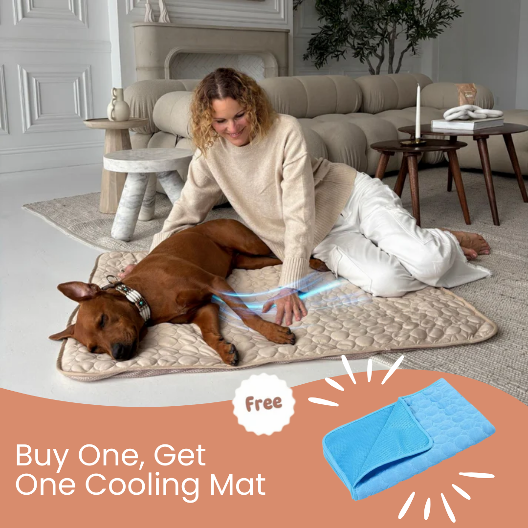 ArcticPaws™ Cooling Mat ( Buy 1 Get 1 Free )