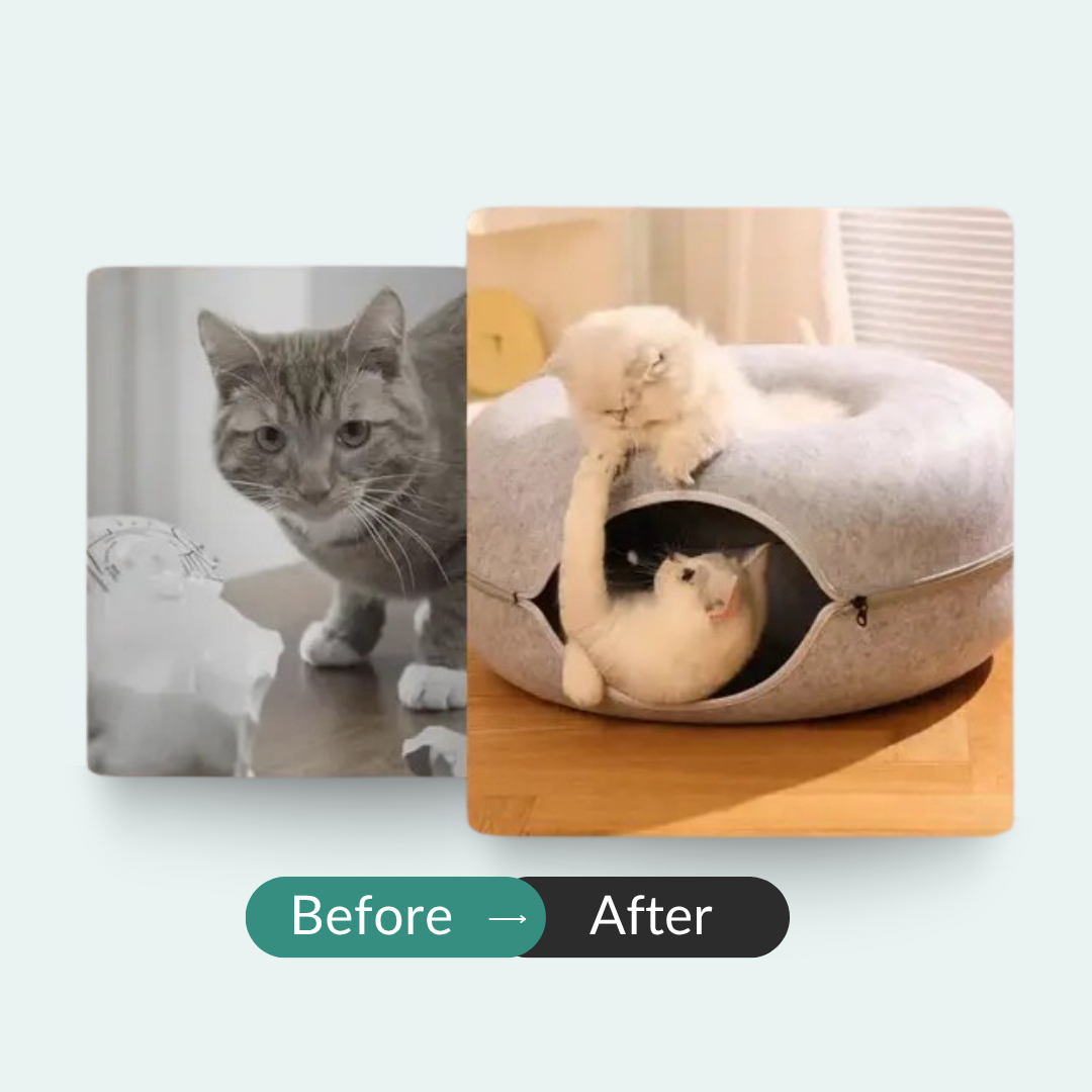 CatNap Donut Bed & Play Tunnel