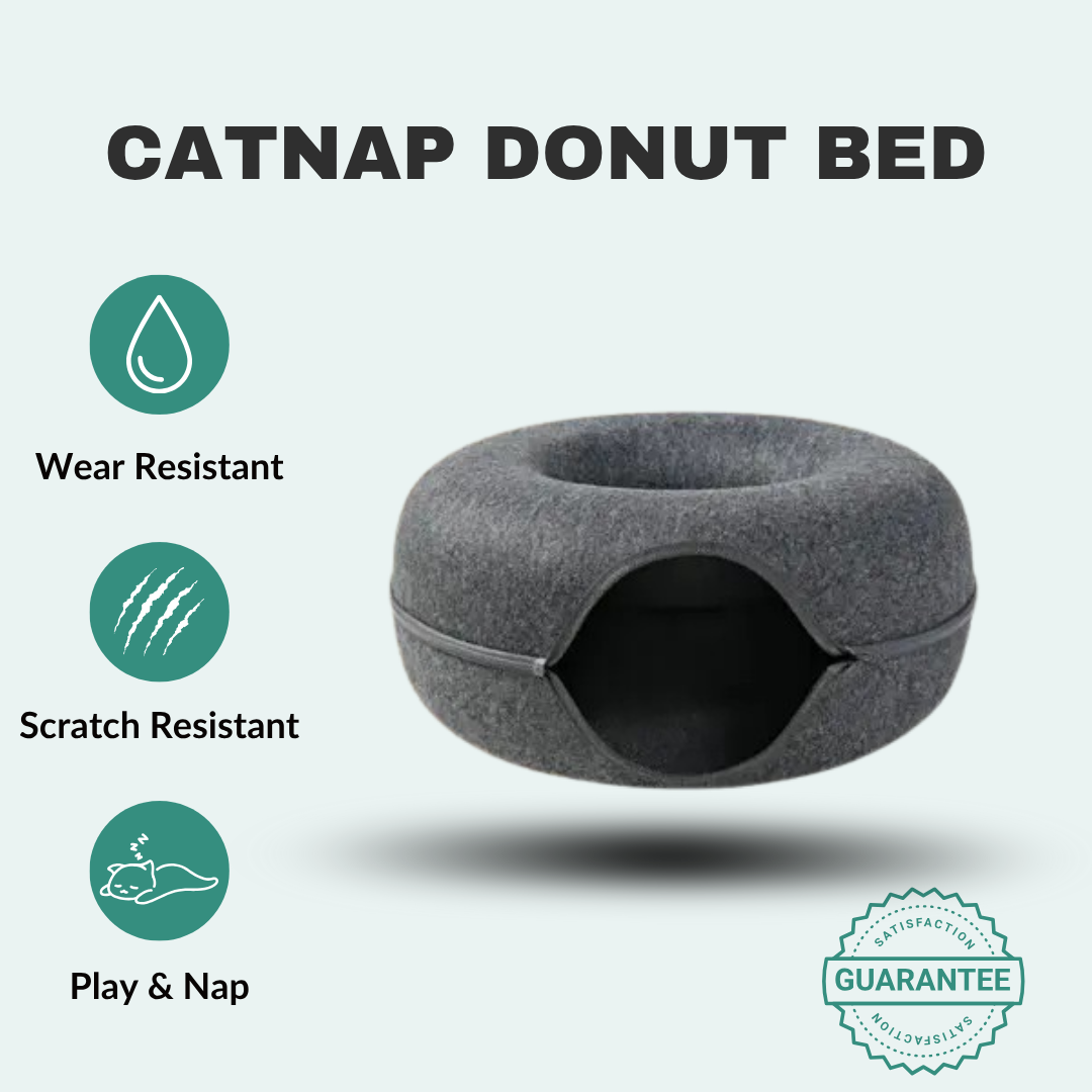 CatNap Donut Bed & Play Tunnel