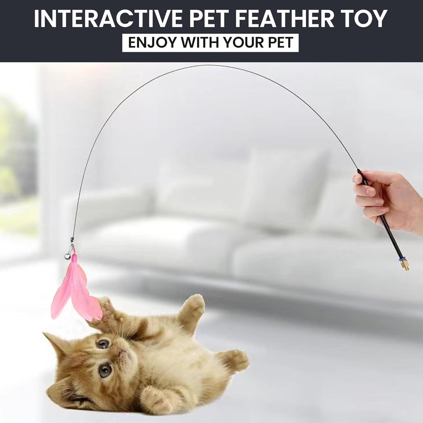Cat Teaser Wand