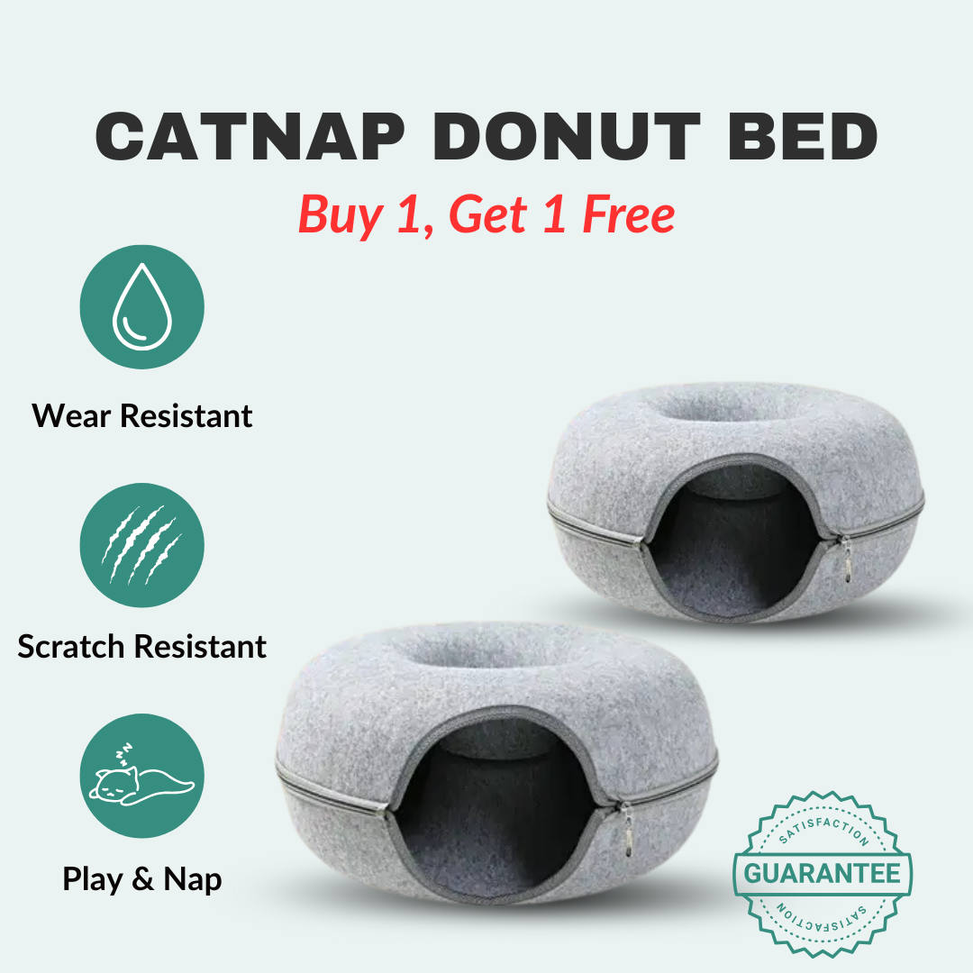 CatNap Donut Bed & Play Tunnel | BOGO Offer