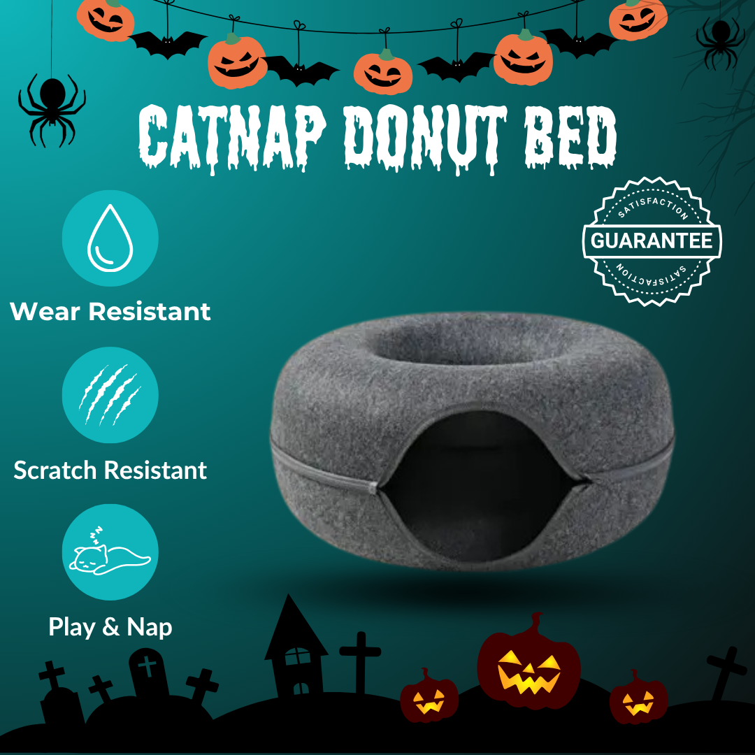 🦇 CatNap Donut Bed & Play Tunnel