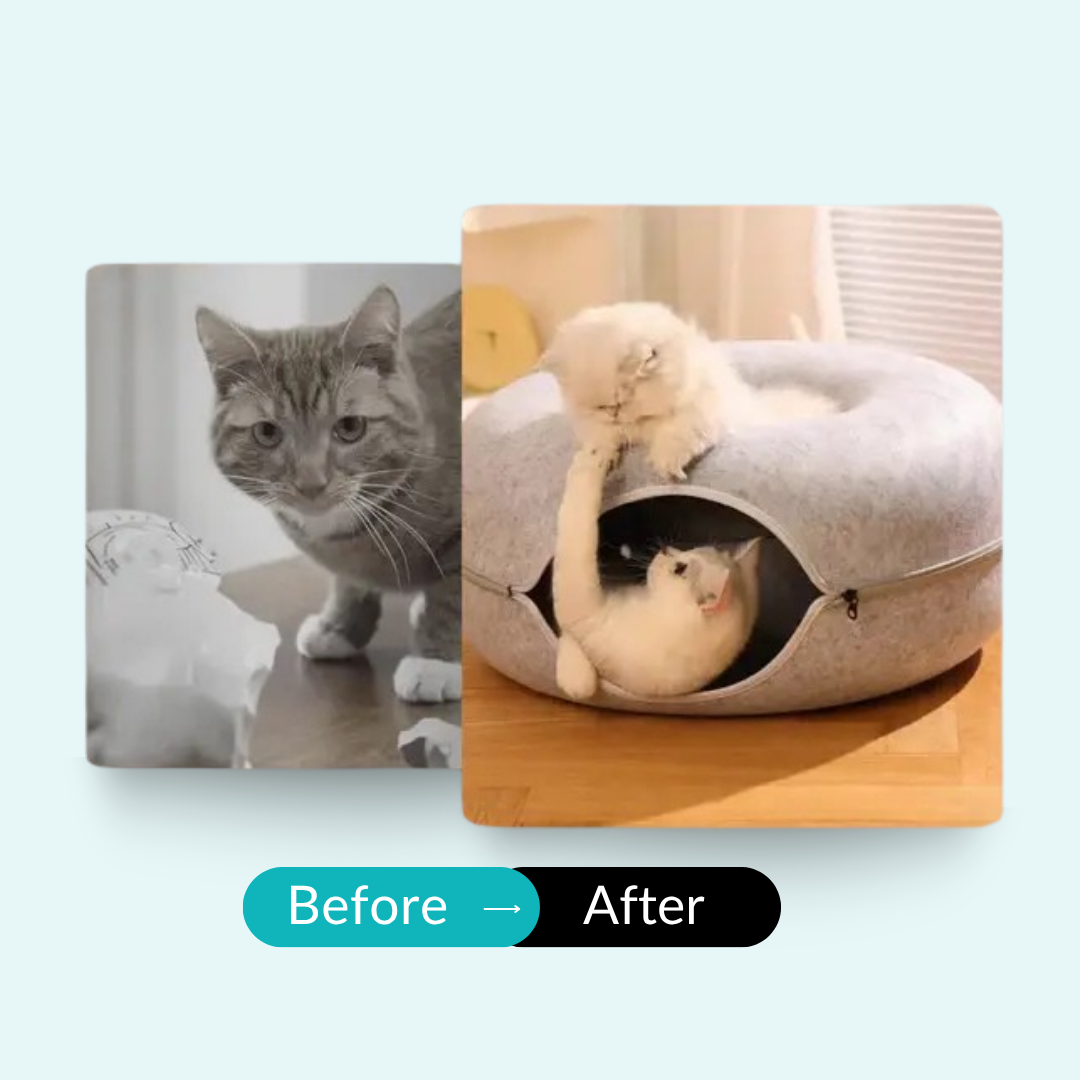 CatNap Donut Bed & Play Tunnel