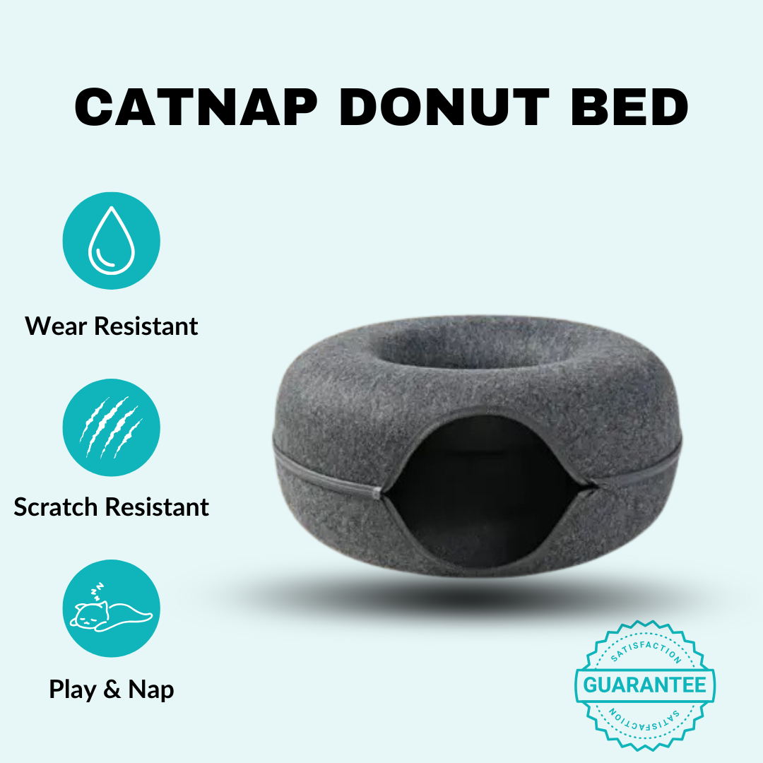 CatNap Donut Bed & Play Tunnel