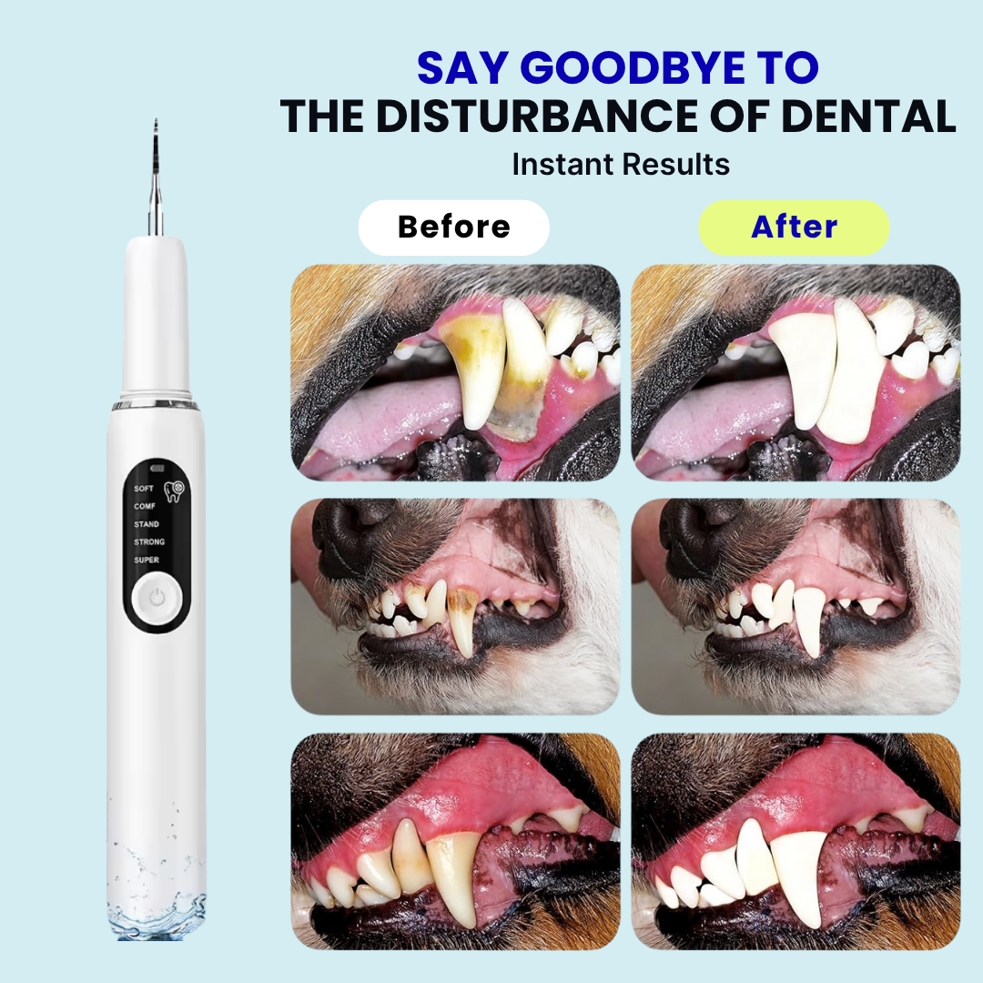 ProCare™ Pet Dental Kit – Keep Their Smile Bright!