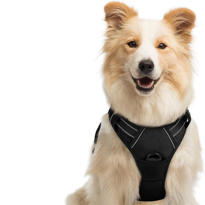 Dog Harness