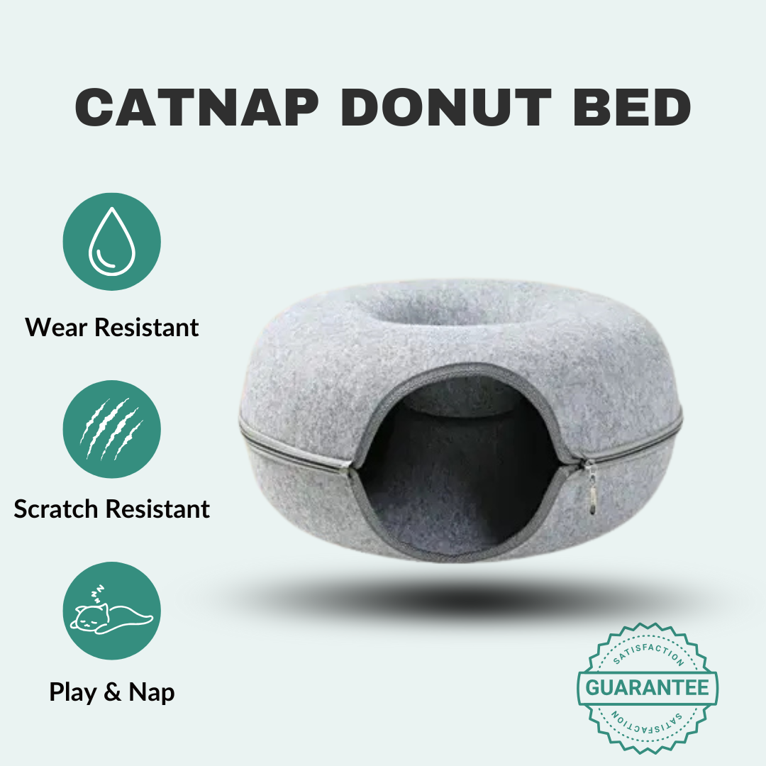 CatNap Donut Bed & Play Tunnel