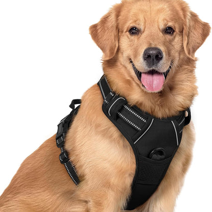 Dog Harness