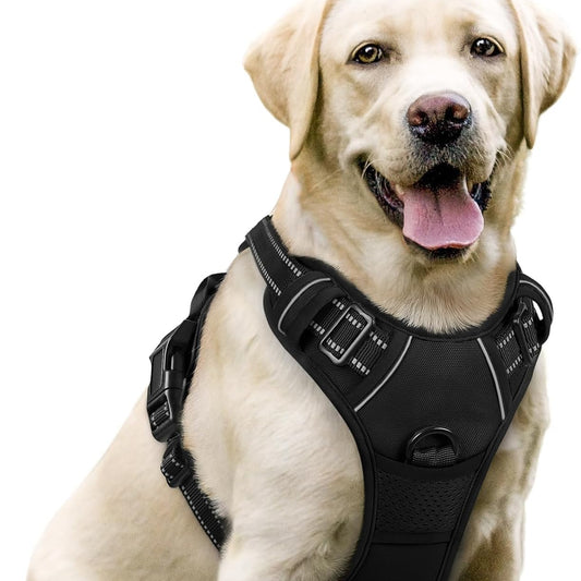 Dog Harness