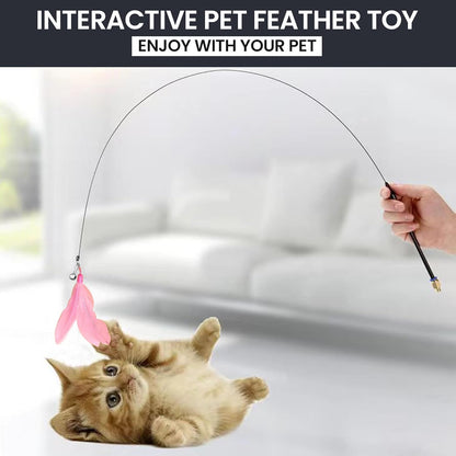 Cat Teaser Wand