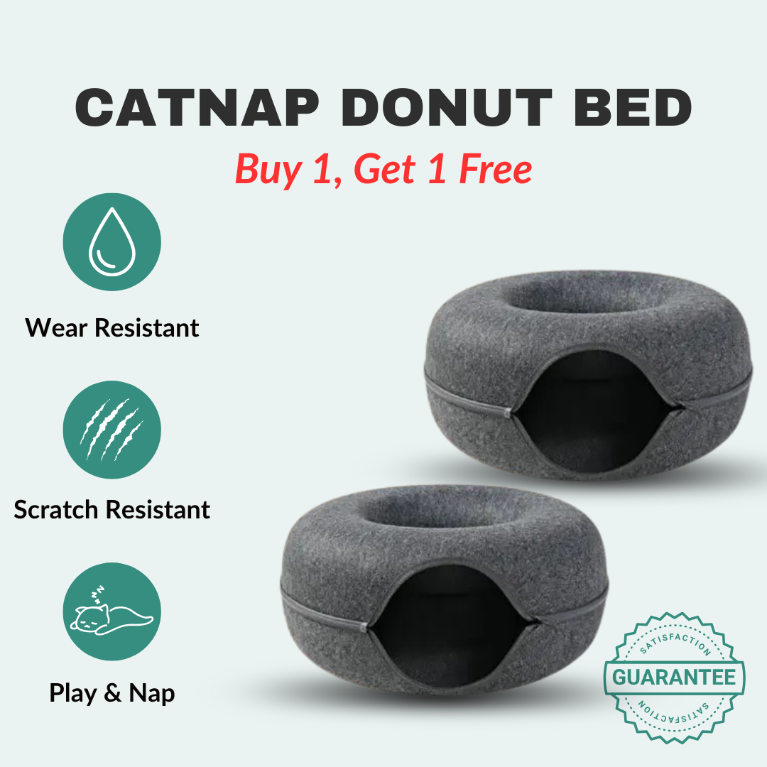 CatNap Donut Bed & Play Tunnel | BOGO Offer