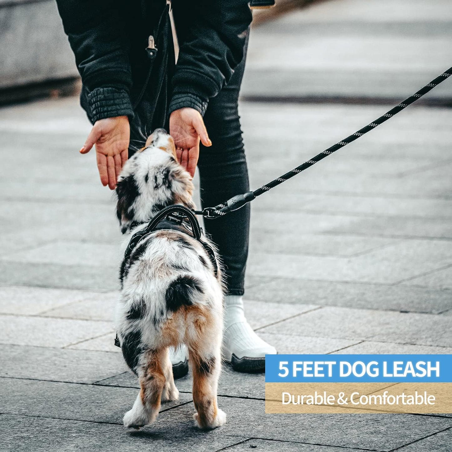 SafeStride™ - Reflective Dog Leash