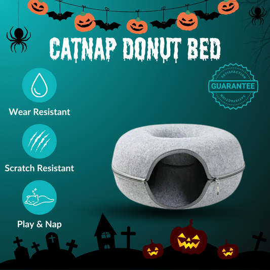🦇 CatNap Donut Bed & Play Tunnel