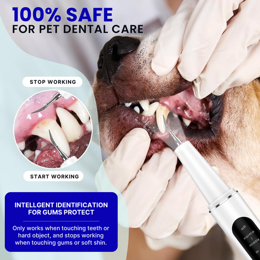 ProCare™ Pet Dental Kit – Keep Their Smile Bright!