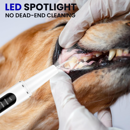 ProCare™ Pet Dental Kit – Keep Their Smile Bright!