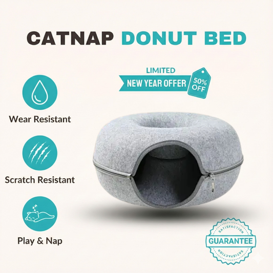 CatNap Donut Bed & Play Tunnel