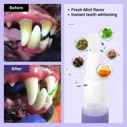 1+1 Free | Pet Oral Reapair Gel