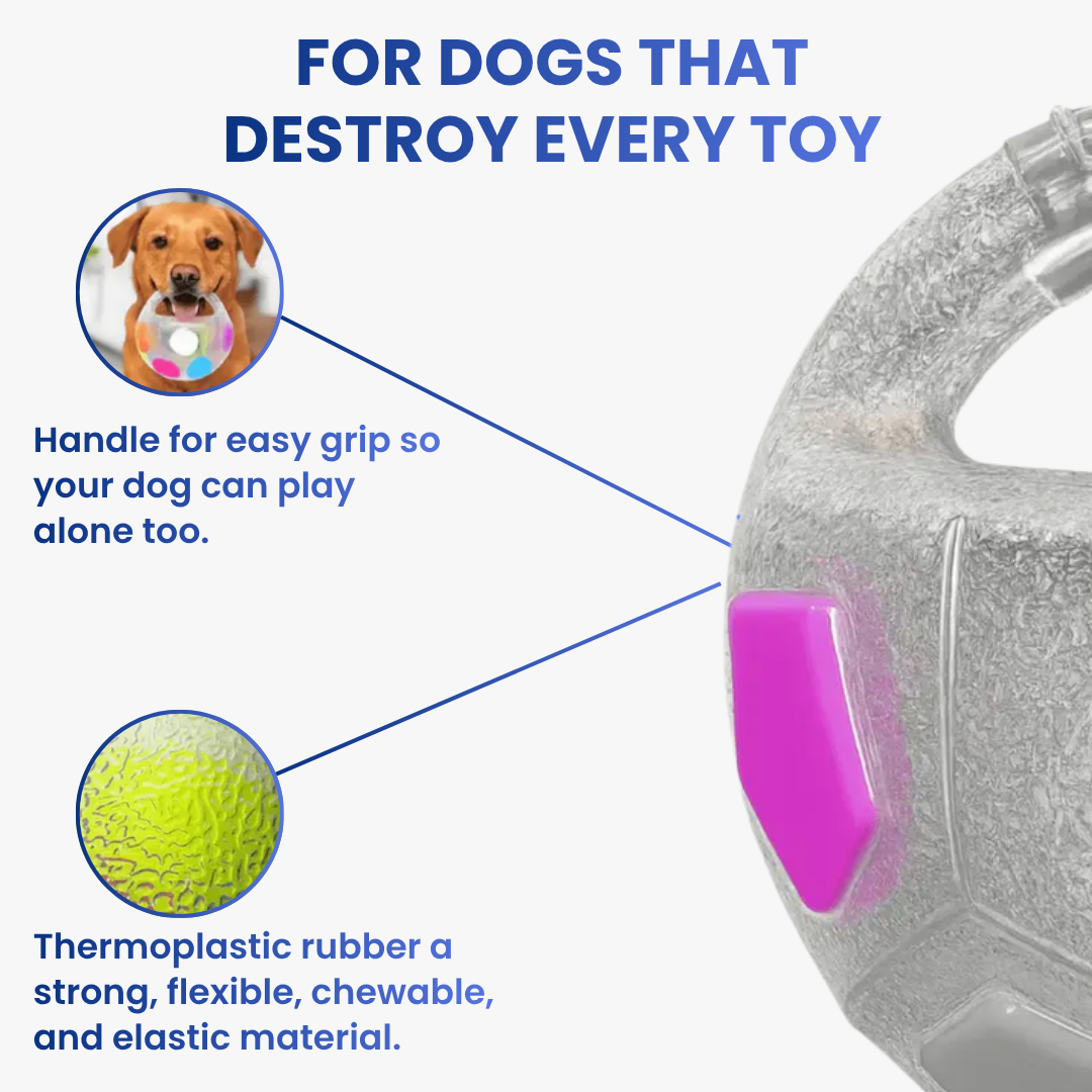 TruPlay™ 3-in-1 Dog Toy