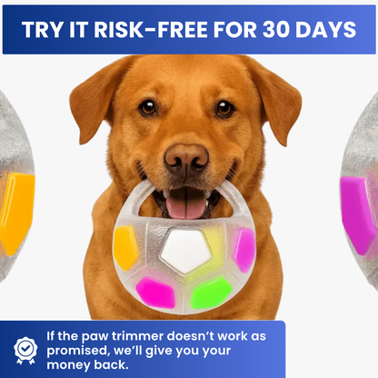 TruPlay™ 3-in-1 Dog Toy