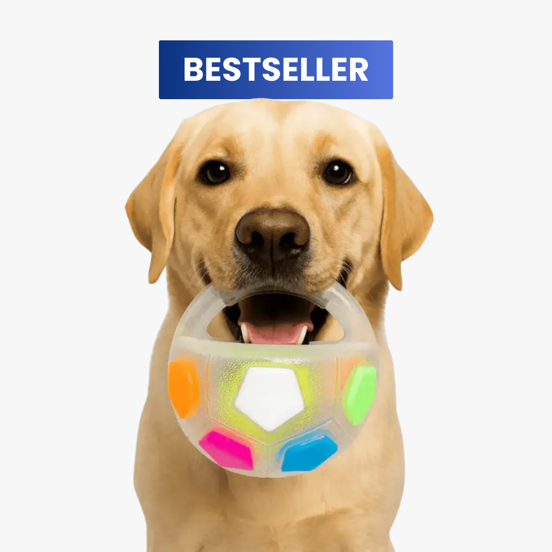 TruPlay™ 3-in-1 Dog Toy